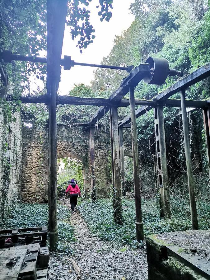 PUY Cave With Free Parking 아파트 외부 사진